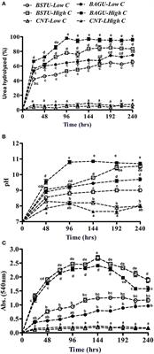 Bacterial Community Dynamics and Biocement Formation during Stimulation and Augmentation: Implications for Soil Consolidation